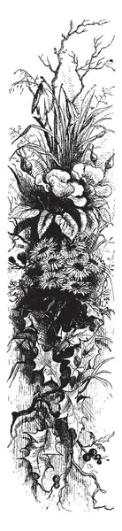 Dekoratif bitkiler bir grup desen, çizim için vintage veya oyma illüstrasyon bir örnek var.