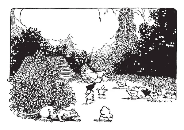 Bu illüstrasyon kedi avcılık civciv, vintage çizgi çizme veya oyma illüstrasyon temsil eder..