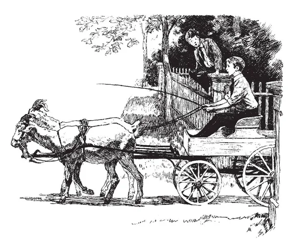 Keçi çizilmiş nerede yerine keçi tarafından kurşun olmak bir antrenör sürme bir çocuk atlar antrenör, vintage çizgi çizme ya da oyma illüstrasyon.