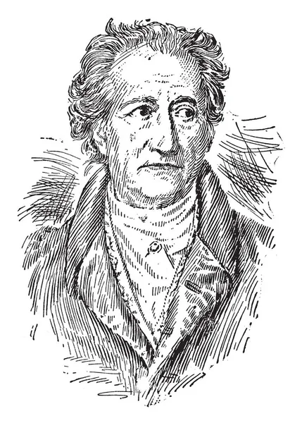 Johann Wolfgang Von Goethe 1749 1832 Hij Een Duitse Schrijver — Stockvector