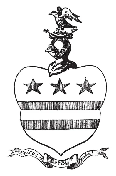 Washington Arms Nordöstra England Vintage Linje Ritning Eller Gravyr Illustration — Stock vektor