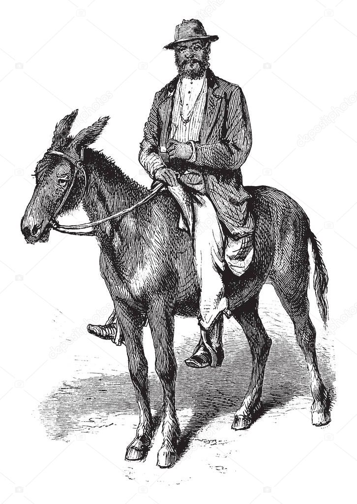 A man is sitting on a Mule, vintage line drawing or engraving illustration.