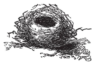 Bird Nest is the spot in which a bird lays and incubates its eggs, vintage line drawing or engraving illustration. clipart