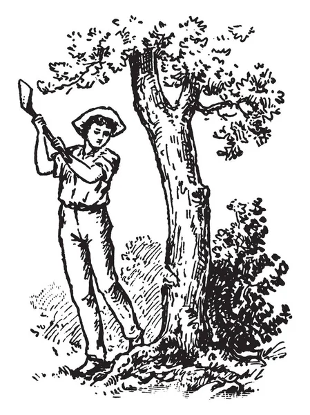 Muž Strom Řezání Sekera Vintage Kreslení Čar Nebo Gravírování Obrázku — Stockový vektor