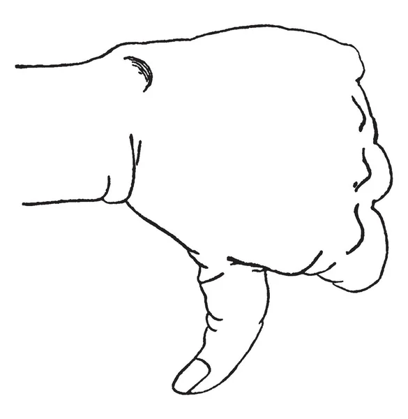 Denna Bild Representerar Händer Position Att Uttrycka Negation Situation Med — Stock vektor
