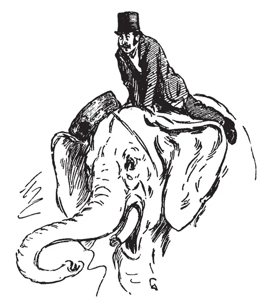 Muž Koni Slona Vintage Kreslení Čar Nebo Gravírování Obrázku — Stockový vektor