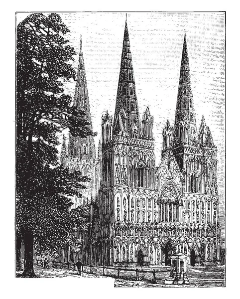 Catedral Lichfield Lichfield Apenas Catedral Medieval Inglesa Pedra Arenito Desenho — Vetor de Stock