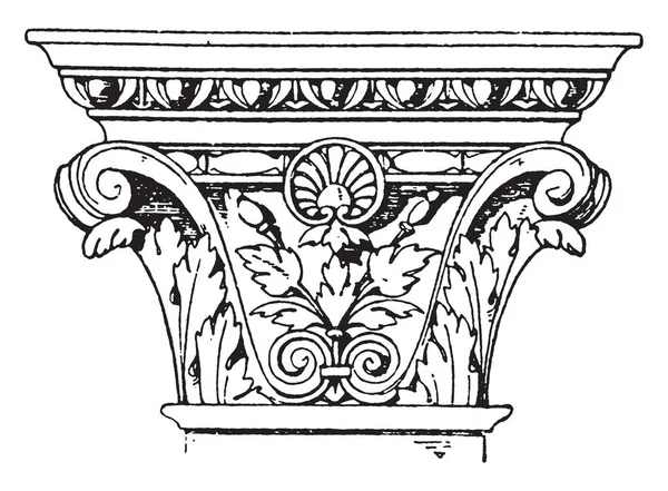 Koryncki Pilaster Kapitału Projektowania Włoskiego Renesansu Pilaster Jest Szerszy Proporcjonalnie — Wektor stockowy