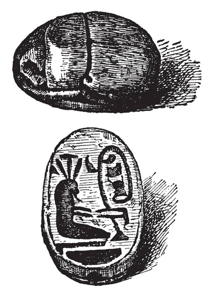 Escarabajo Una Pieza Tallada Piedra Utilizada Como Amuleto Dibujo Línea — Vector de stock