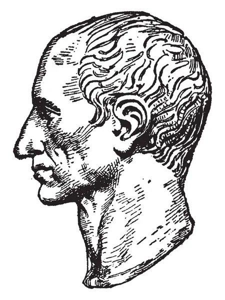 バスト ジュリアス シーザーの紀元前 100 44年紀元前に 彼はローマの政治家および一般的なラテン系の散文 ビンテージの線の描画や彫刻イラストの作者として有名な — ストックベクタ