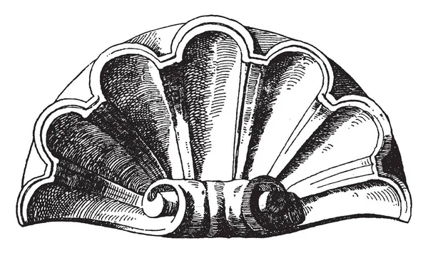 Scallop Design Shell Foi Usado Como Uma Decoração Nicho Desenho —  Vetores de Stock