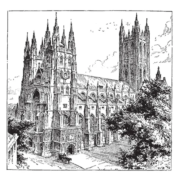 Katedra Canterbury Przodu Kościoła Jednego Konia Koszyka Stojący Ptaki Lecą — Wektor stockowy