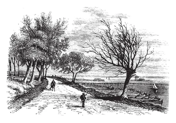 土路一个人沿着泥土路走 老式的线条画或雕刻插图 — 图库矢量图片