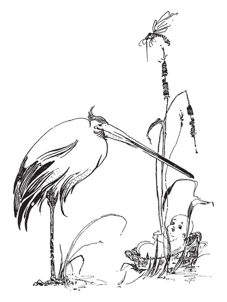 Sepet ve vinç bebek üzerinde duruyor, vintage çizgi çizme veya illüstrasyon oyma bir vinç ile.