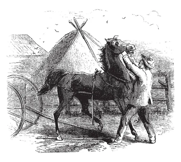 Homme Mettant Bride Sur Cheval Tente Arrière Plan Dessin Ligne — Image vectorielle