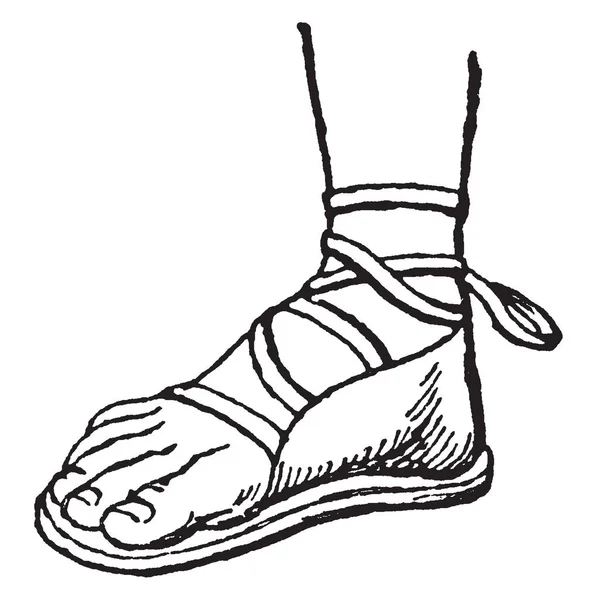 Sandale Grecque Est Une Protection Pour Pied Dessin Ligne Vintage — Image vectorielle