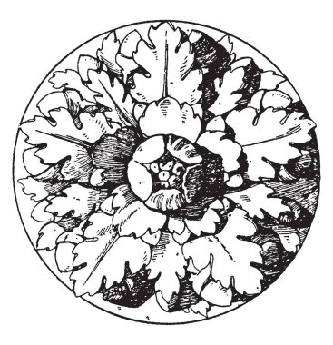 Roma rozet beş tümen ile yapay bir gül olduğunu, bu kapıları ve tavanlar, vintage çizgi çizme veya oyma illüstrasyon centerpieces gibi bulunur.