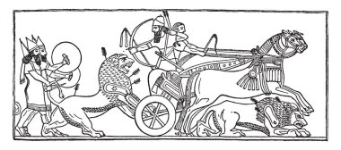 Bu resimde, bazı erkekler at ve bir adam aslan yay ve ok, vintage çizgi çizme veya oyma illüstrasyon arabası arkasında silah çekti sepeti üzerinde hareket ediyor.