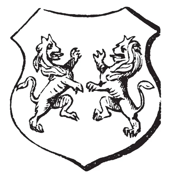 Lioncels Combatant Французское Слово Обозначения Боя Винтажного Рисунка Линии Эскизной — стоковый вектор