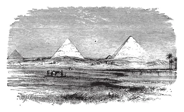 Pirâmides Paisagem Egípcia Pequena Montanha Cursos Inferiores Revestimento Exterior Desenho —  Vetores de Stock