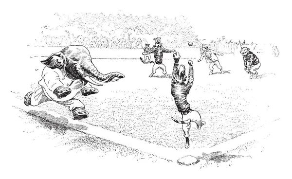 Baseball Jungleville Diese Szene Zeigt Einen Elefanten Tiger Und Andere — Stockvektor