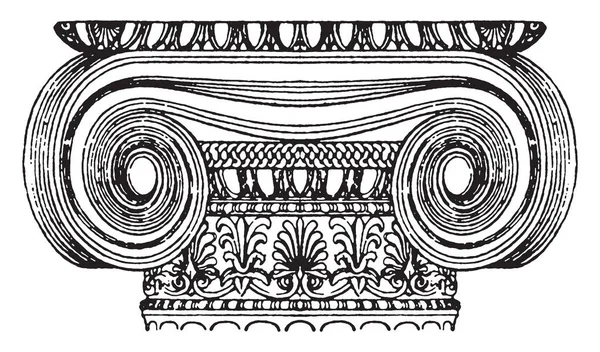 グレコ イオン首都スクロールのデザイン ロール スパイラル カーブの両側追加首 Palmette ビンテージの線描画や彫刻イラストで飾られました — ストックベクタ