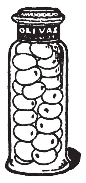 Оливки Могут Храниться Стеклянных Банках Рисунком Крышке Винтажной Линии Гравировкой — стоковый вектор