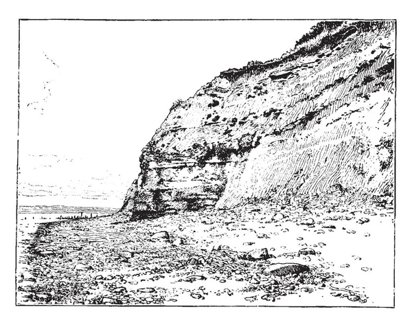 Gloucetershire 克利夫河口澳 澳崖是邻近河口 复古线图或雕刻插图的特殊科学利益的地质场所 — 图库矢量图片