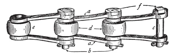 Cadena Del Rodillo Una Cadena Del Perno Del Tipo Correa — Archivo Imágenes Vectoriales