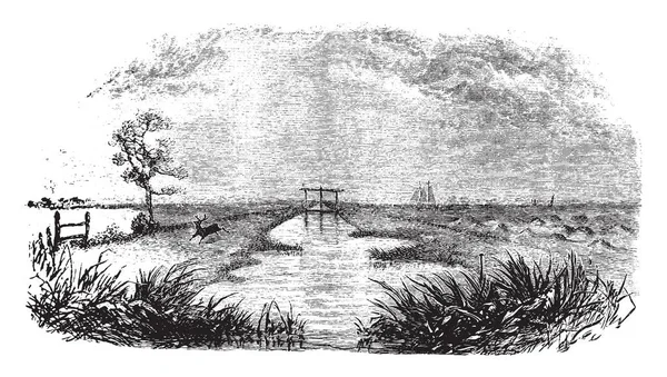 Ilustracja Przedstawia Plantacji Ryżu Vintage Rysowania Linii Lub Grawerowanie Ilustracja — Wektor stockowy