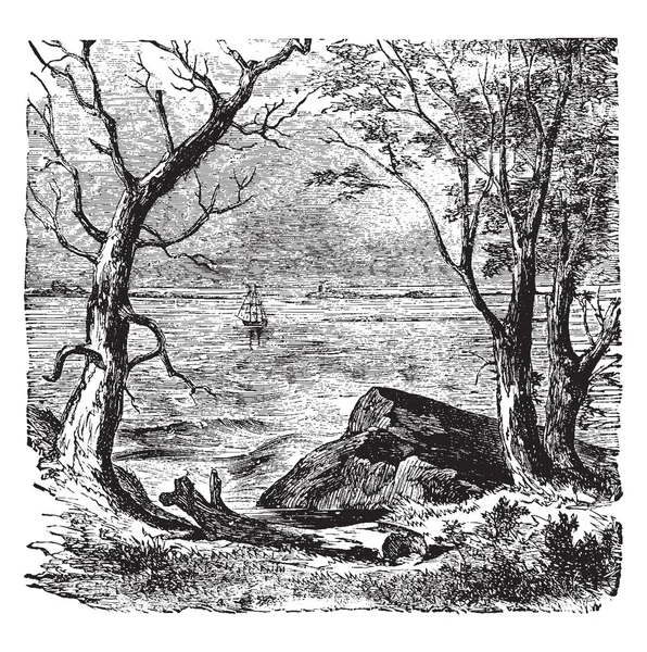 Rock Uit Plymouth Buurt Van Een Rivier Vintage Lijntekening Gravure — Stockvector