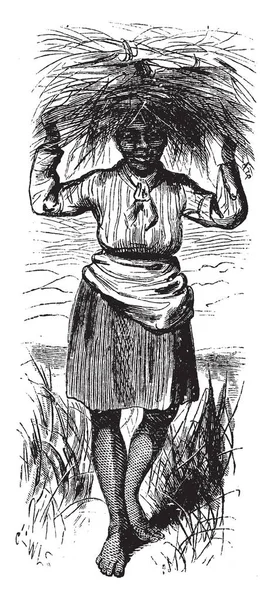 Une Femme Portant Grain Sur Tête Dessin Ligne Vintage Illustration — Image vectorielle