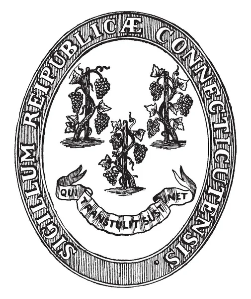 Selo Estado Connecticut Este Selo Forma Oval Tem Três Videiras — Vetor de Stock