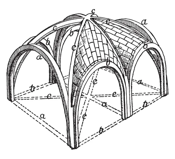 Sexpartiten Rippengewölbe Zeigt Zwei Fächer Mit Den Füllungen Komplett Unterteilt — Stockvektor