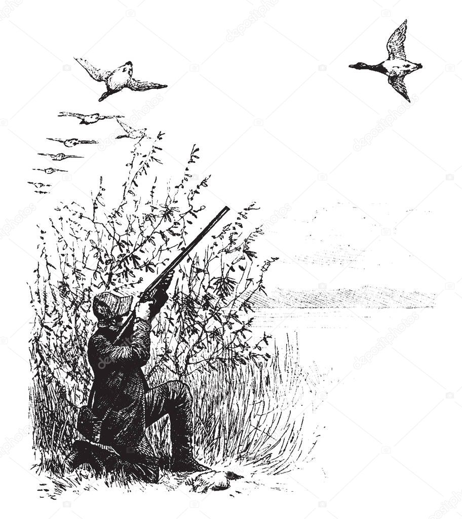 In this picture this is a man on knees & he is shoot geese that is flying overhead, vintage line drawing or engraving illustration.