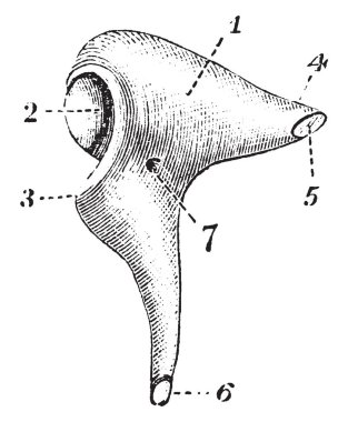 Bu resimde örs, vintage çizgi çizme veya oyma illüstrasyon temsil eder..