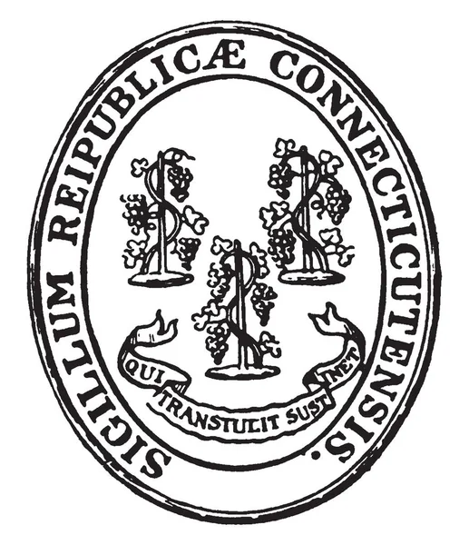康涅狄格州 Sigillum Reipublicae Connecticutensis 的印章 椭圆形的印章显示三个葡萄藤 下面是他们的座右铭 Transtulit Sustinet 复古线画或雕刻插图 — 图库矢量图片