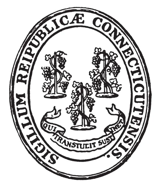 Het Zegel Van Staat Connecticut Sigillum Reipublicae Connecticutensis Het Zegel — Stockvector