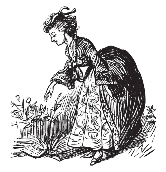 Une Femme Cueillant Des Fleurs Dessin Ligne Vintage Illustration Gravure — Image vectorielle