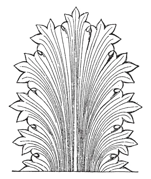 Греческий Лист Имеет Острые Края Листьев Рисунок Винтажных Линий Гравировка — стоковый вектор