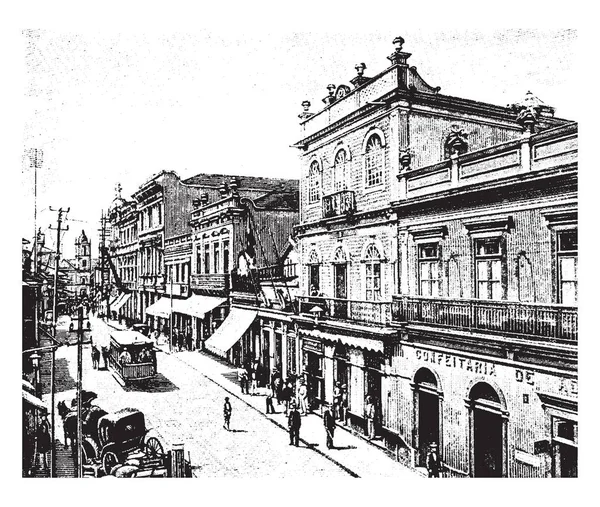 São Paulo Maior Cidade Brasil Desenho Linha Vintage Gravura Ilustração —  Vetores de Stock