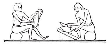 Kümes hayvanları hazırlanması, vintage illüstrasyon kazınmış.