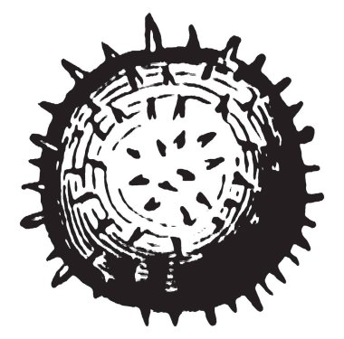 Bu çerçevede bir erkek ağaç ve çiçek polen hangi ağaç veya çiçek hazırdın işte. Dikenli, vintage çizgi çizme veya oyma illüstrasyon onun kapak olduğunu.