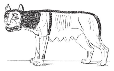 Dişi kurt Etrüsk, vintage çizgi çizme veya oyma illüstrasyon başkentidir.