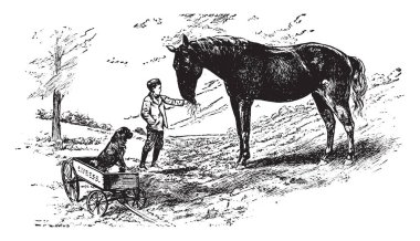 Besleme at besleme onun at, vintage çizgi çizme veya illüstrasyon oyma bir adam nerede.