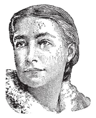 Elizabeth Phelps, 1844-1911, o erken feminist Amerikalı yazarın, vintage çizgi çizme veya oyma illüstrasyon yapıldı.