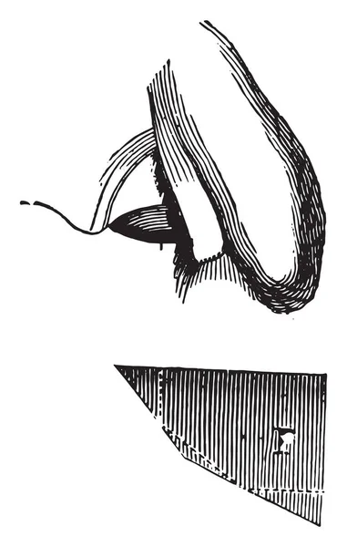 Caméra Wollaston Lucida Illustration Gravée Vintage Encyclopédie Industrielle Lami 1875 — Image vectorielle