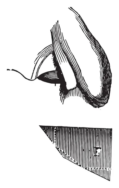 Wollaston Camera Lucida Ilustración Grabada Vintage Enciclopedia Industrial Lami 1875 — Vector de stock