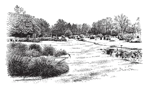 Est Beau Parc Légumes Entouré Arbres Plantes Dessin Ligne Vintage — Image vectorielle