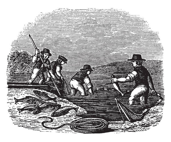 Group of men catching fish, vintage line drawing or engraving illustration